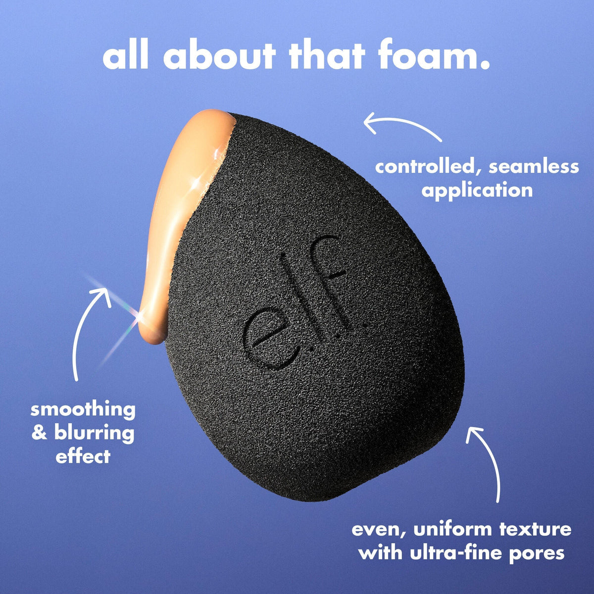 Bounce & Blur Pro Sponge